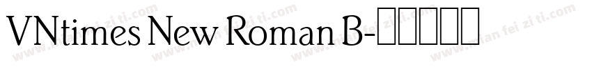 VNtimes New Roman B字体转换